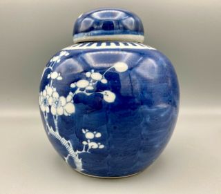 Vintage Chinese Prunus Blossom Design Blue & White Ginger Jar Double Ring 6.  75 