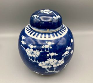 Vintage Chinese Prunus Blossom Design Blue & White Ginger Jar Double Ring 6.  75 