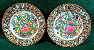 Antique Chinese Export Porcelain Famille Rose Medallion Plate 2