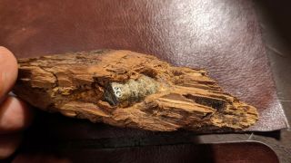 Dug Civil War Bullet In Wood Big Cool Relic 2