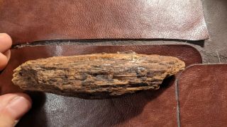 Dug Civil War Bullet In Wood Big Cool Relic 3