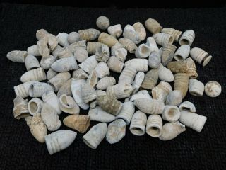 Five Pounds Of Civil War Bullets From Shanandoah Valley