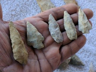Authentic Group Of 11 North Carolina Arrowheads Indian Artifact