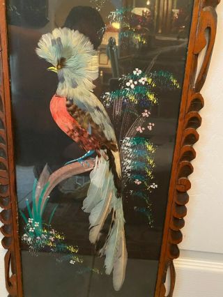 1950 ' s Mexican Feather craft Bird Picture Hand Carved Wood Frame 2