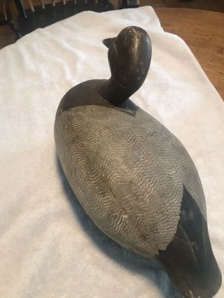 Ken Harris Canvasback Hen Duck Decoy Paint Been Repaired