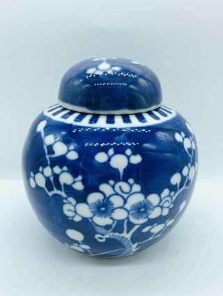 Vintage Chinese Prunus Blossom Design Blue & White Ginger Jar Double Ring 4 1/2 "