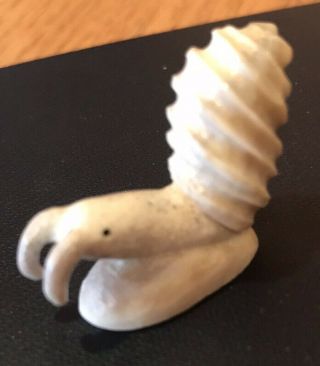 Zuni Hand - Carved Antler Snail With Shell Fetish