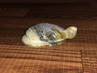 Zuni Carved Serpentine Turtle Fetish Signed By Adrian Cachini - Native American