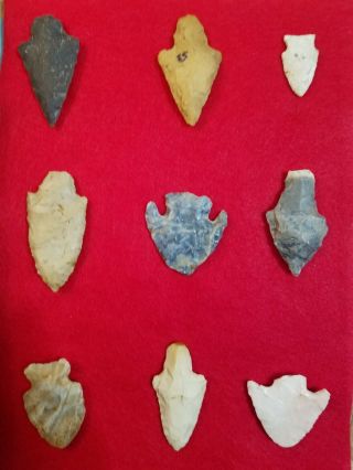 Arrowhead Authentic Group Of 9 From Vigo Co In.