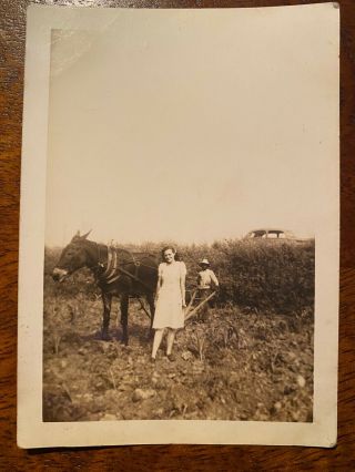 White Woman Poses With Black Boy Farmer African American With Plow 1930s Photo