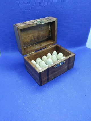 15 Civil War Bullets With Collectors Box
