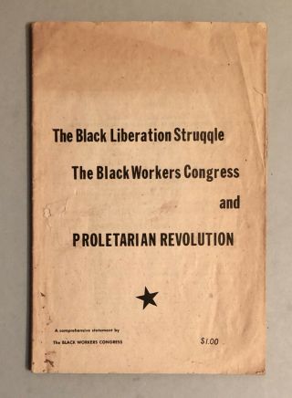 Vintage African American Civil Rights Pamphlet " The Black Liberation Struggle "
