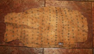 Mbuti - Pygmy Barkcloth – Ituri Rainforest,  Dr Congo 15 " X 31  African Tapa "