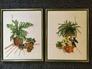 Vintage 70s Framed Completed Crewel Embroidery Boston Fern Plants Flowers - Pair
