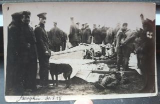 Wwi Germany Kia Flieger Pilot Crash Corpse Dog - Private Pose Photo Postcard Rrr