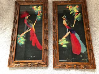 Vintage Mexican Feather Art Bird Pictures,  Pair On Black With Cedar Frames
