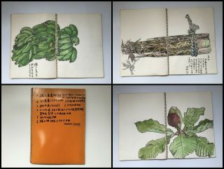 1975s Japanese Artist Sketch Book Vintage Hand Painted Banana Pineapple H098