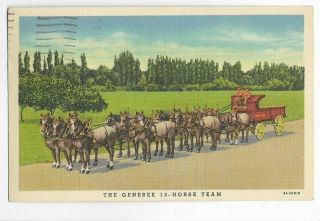 The Genesee Brewery 12 Horse Team & Beer Wagon Rochester,  Ny - Pm 1938