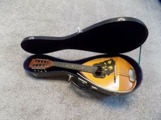 Vintage Bowl Back Tater Mandolin Project Parts And Case