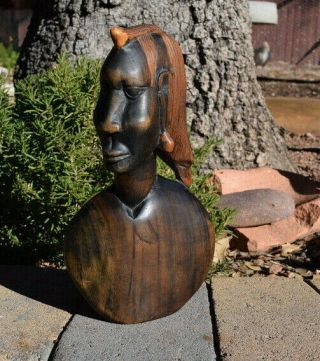 Hand Carved Macassar Ebony Wood African Tribal Woman Bust 10.  5 " Tall Sculpture