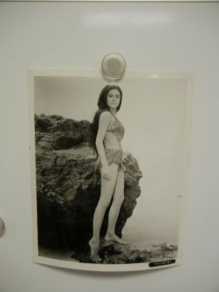 Vintage Studio Photo Of Linda Harrison From 1968 Planet Of The Apes