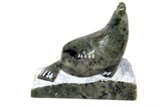 Basking Seal Vintage Inuit Soapstone Carving/sculpture Signed J.  Tobuk/