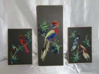 Mexican Folk Art Feather Bird Pictures