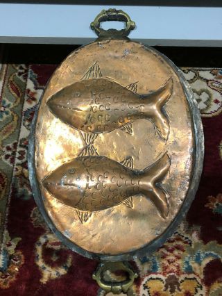 Vintage Copper Tin Lined Large Fish Mold With Brass Handles,  Wall Plaque Decor