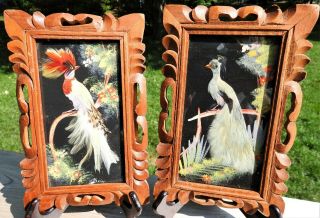 1 Pair Vintage Mexican Folk Art Feathercraft Feather Birds Carved Wood Frames