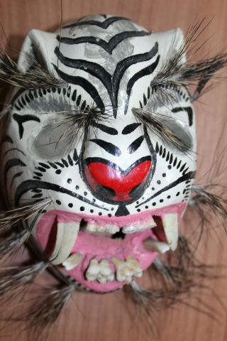 699 Tigre Mirror Eyes Wooden Mask White Tiger Guerrero México Decorative Figure