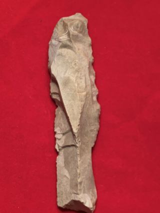 Authentic Native American Indian Paleo - Early Archaic Knife Scraper Bird Effigy 2