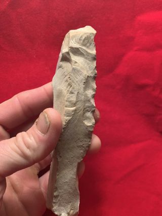 Authentic Native American Indian Paleo - Early Archaic Knife Scraper Bird Effigy 3