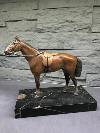 Cold Painted Austrian Vienna Bronze Orientalist Ottoman Arab Horse Stallion