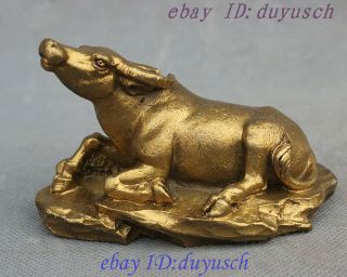 Lucky Chinese Feng Shui Pure Copper Brass Year Zoidac Bull Ox Statue Figurine