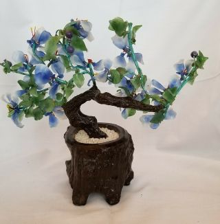 Jade Bonsai Tree Blue Flowers Green Leaves White Stones