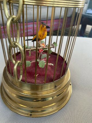 Music Box Bird Cage Vintage German Yellow Singing Mechanical Domed Needs Tlc 13 "