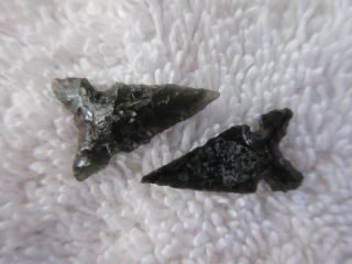 Two Old And Small California Arrowheads - - Nr