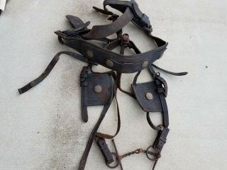 Ww1 Us Army Calvary Horse Bridle And Collar