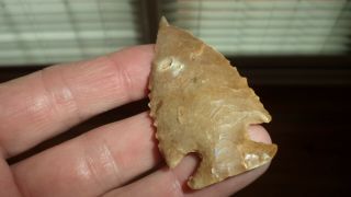 Authentic Georgia Arrowheads Deep South Artifacts Bolen