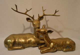 Large Brass Reclining Buck & Doe Deer Figures Vintage Regency Christmas