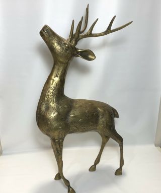 Vintage Mid Century Standing Brass Metal Buck Deer Large 20 Inches Tall Figurine