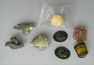 Group Of Fishing & Hunting Pins: Fish Ohio,  Odnr Division Of Wildlife,  Etc.