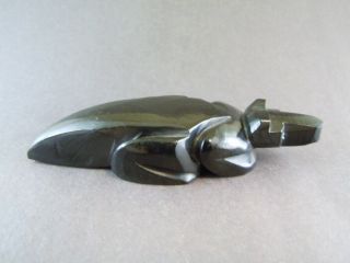 Big Gorgeous Tenacious Zuni Jet Black Badger Fetish Carving Lorvin Kiyite 82