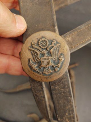 Wwi Era U.  S.  Military Cavalry Horse Bridle Bit Worn Leather W/ Brass Rosettes