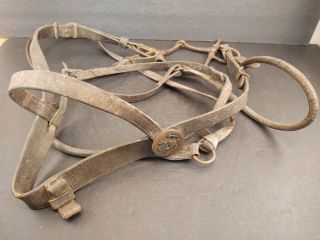 WWI Era U.  S.  Military Cavalry Horse Bridle Bit Worn Leather w/ Brass Rosettes 2
