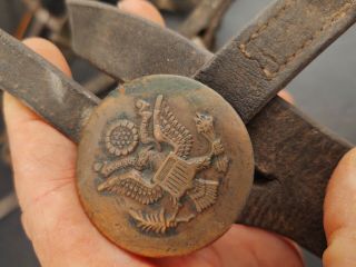 WWI Era U.  S.  Military Cavalry Horse Bridle Bit Worn Leather w/ Brass Rosettes 3