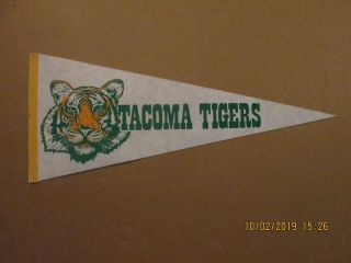 Pcl Tacoma Tigers Vintage Defunct Circa 1980 