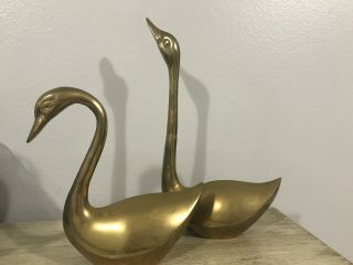 Large Vintage Mid Century 17” Male & 11” Female Brass Swans Geese Goose
