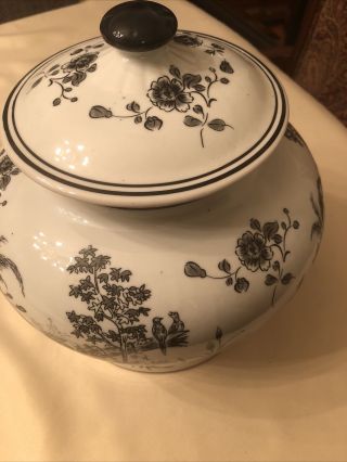 Chinese Ginger Jar With Lid Black & White,  10” Tall B5422 Rooster Pheasant Toile