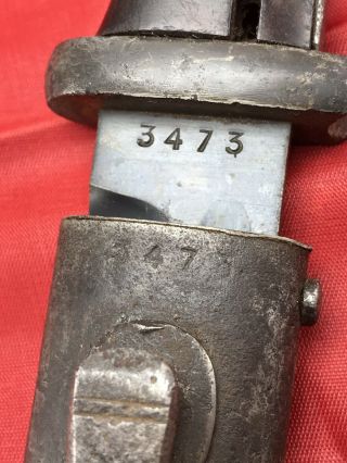 German Wwii Mauser K98 Bayonet/scabbard With Matching Serial Numbers